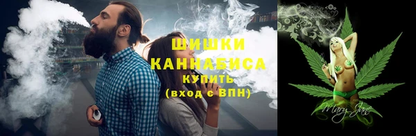 соль ск Богородск