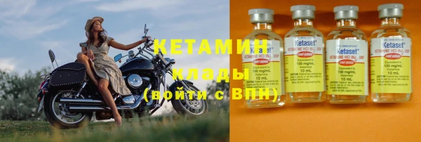 шишки Богородицк