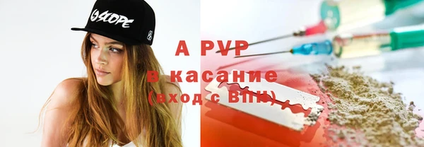 шишки Богородицк