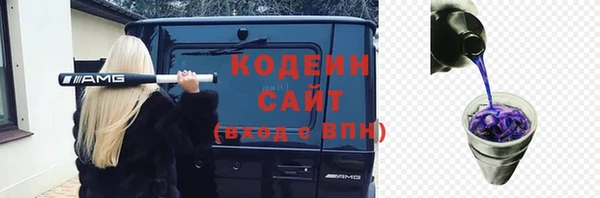 соль ск Богородск