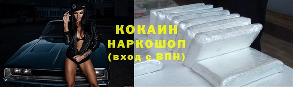 шишки Богородицк