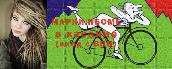 шишки Богородицк