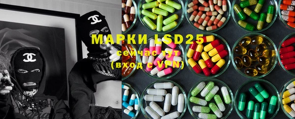 шишки Богородицк