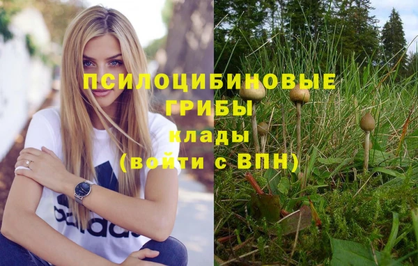 шишки Богородицк