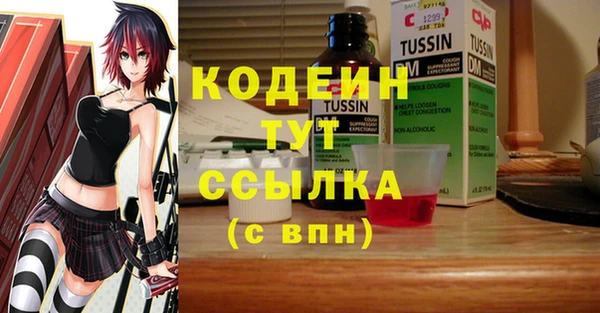 шишки Богородицк