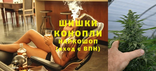 шишки Богородицк
