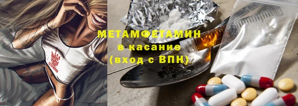 шишки Богородицк