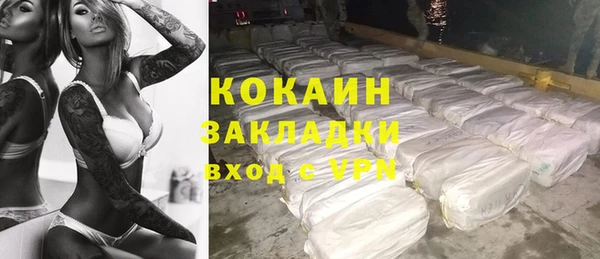 шишки Богородицк