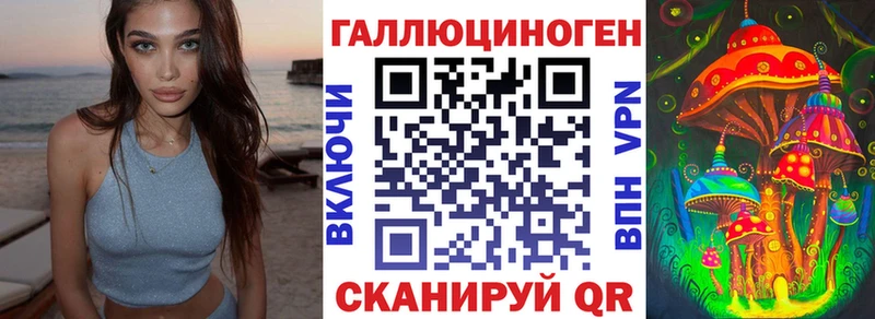 Галлюциногенные грибы GOLDEN TEACHER  Купить где  Гвардейск 