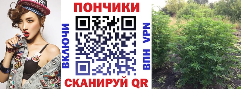 Купить закладки  Гвардейск  Бошки Шишки VHQ 